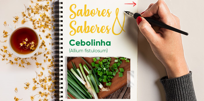 Sabores e saberes: Cebolinha